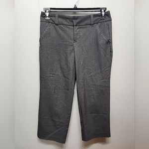 Daisy Fuentes Cropped Pants Women’s Size 4 Gray Dress‎ Office Casual Capri B545